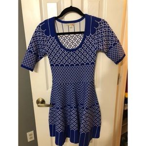 Blue Gianni Bini sweater dress